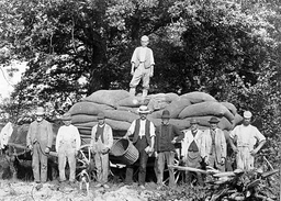 Hop pockets - the sacks containing the picked hops